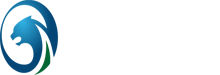 蘇州駕校_創(chuàng)元駕校_蘇州創(chuàng)元智慧駕校 - 蘇州創(chuàng)元駕校