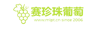南匯8424西瓜網-南匯8424西瓜網丨南匯8424西瓜采摘價格多少錢一斤丨南匯8424西瓜禮盒