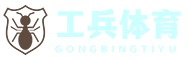 工兵體育資訊網(wǎng)_您的2024歐洲杯賽事專家