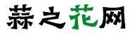 蒜之花網-探索豐富多彩的花卉世界