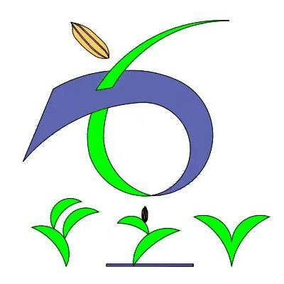 安徽豐之源新型膜材料有限公司水稻專用全生物降解地膜、覆膜插秧機(jī) - 農(nóng)業(yè)環(huán)保網(wǎng)站