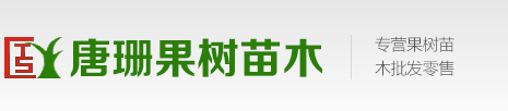 果樹苗多個品種_桃樹苗_梨樹苗_杏樹苗等_唐姍果樹種植專業合作社
