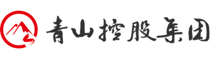 安徽青山控股集團有限公司