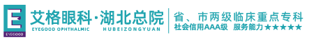 武漢艾格眼科醫(yī)院_省、市兩級臨床重點專科單位_三級眼科專業(yè)醫(yī)院_商保/醫(yī)保定點醫(yī)院