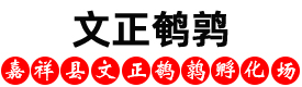 鵪鶉養殖場,鵪鶉苗-嘉祥縣文正鵪鶉苗養殖場
