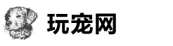 來橙寵物網(wǎng) – 寵物產(chǎn)業(yè)互聯(lián)網(wǎng)服務(wù)平臺