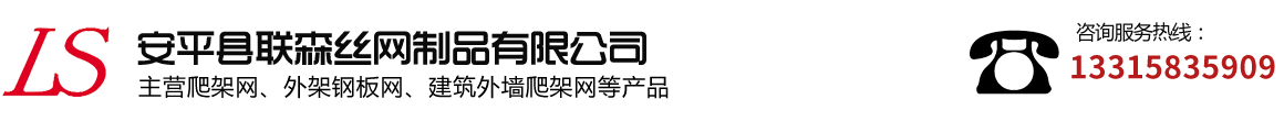 爬架網(wǎng)-外架鋼板網(wǎng)-安平縣聯(lián)森絲網(wǎng)制品有限公司