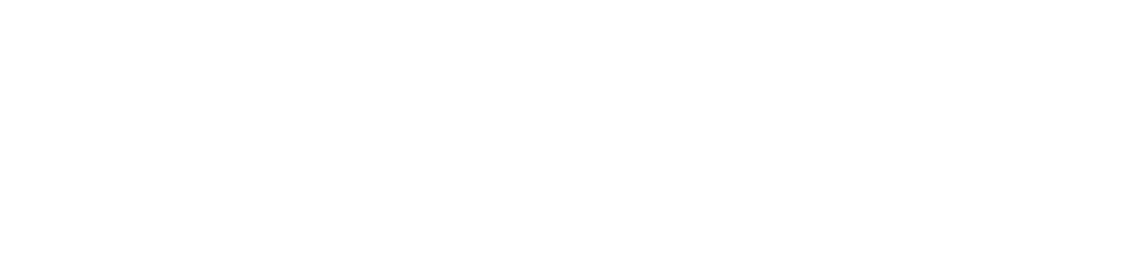 聚星泛海Asmkol-海外紅人營銷