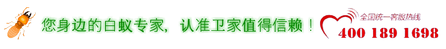 佛山白蟻防治所~您身邊的蟲害防控專家~南海、禪城、順德滅治白蟻公司-除四害殺蟲滅鼠-佛山市衛家白蟻防治有限公司