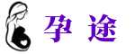 孕悠悠 - 專業試管嬰兒知識