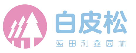 白皮松_陜西白皮松產(chǎn)地直銷報價_藍(lán)田利鑫白皮松園林