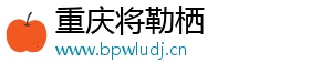 重慶將勒棲貿易有限公司