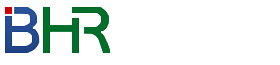 武漢百世英才人力資源有限公司