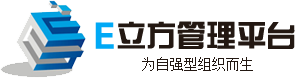 Excel服務器云平臺-E立方管理平臺-低代碼快速開發平臺