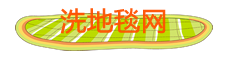 保潔_家居養護_家電清洗_家政服務-洗地毯網