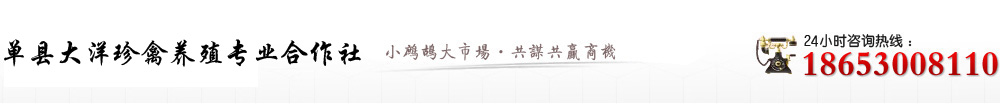 單縣大洋珍禽養殖專業合作社，鷓鴣養殖，鷓鴣，鷓鴣苗。山東單縣咨詢18653008110