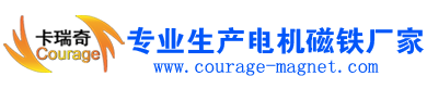 電機定轉子磁鐵,多極磁環 - 東莞市卡瑞奇磁鐵生產廠家