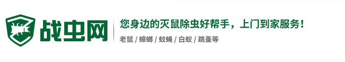 湖南戰(zhàn)蟲(chóng)環(huán)境科技有限公司戰(zhàn)蟲(chóng)網(wǎng)0731-86867100老鼠藥|白蟻藥|蟑螂藥|跳蚤藥|蚊蠅藥|蚊子藥|蒼蠅藥|電子滅鼠器|驅(qū)鼠器