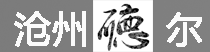 滄州市德爾信息技術有限公司