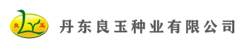 丹東良玉種業有限公司 - 玉米種子|良玉種業|良玉