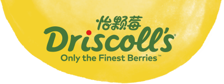 Driscolls怡顆莓