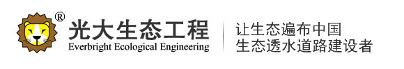 江蘇光大生態工程技術有限公司_透水混凝土增強劑,透水混凝土保護劑,透水混凝土廠家