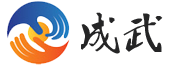 上海成武信息技術(shù)有限公司