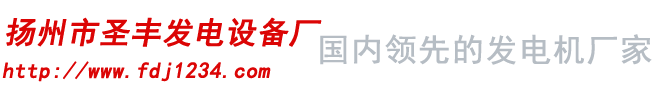 無刷發(fā)電機單機-柴油發(fā)電機組廠家-揚州市圣豐發(fā)電設(shè)備廠