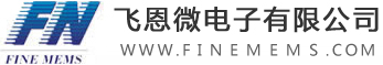 飛恩微電子有限公司