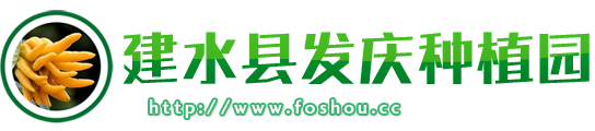 發慶之家 - 云南省建水縣發慶種植園官方網站！云南紅河建水佛手種植,云南建水香櫞種植,云南佛手苗,紅河建水香櫞苗,云南紅河建水佛手苗香櫞苗,建水佛手種植基地佛手苗,紅河香櫞種植香櫞苗,云南玉溪佛手香櫞種植,云南紅河建水冬櫻花樹苗，云南核桃樹苗,建水發慶種植園,云南紅河建水佛手香櫞種植基地,佛手種植技術,香櫞種植