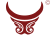 野生滇橄欖_野生葛根_滇橄欖原漿_云南雙江福壽源食品開發(fā)有限責(zé)任公司