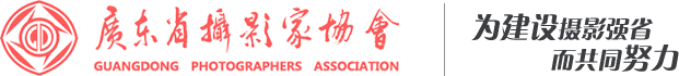 廣東省攝影家協(xié)會網(wǎng)