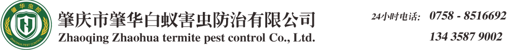 肇慶白蟻防治公司/肇慶殺蟲公司/肇慶白蟻防治中心/肇慶白蟻專家-肇慶市肇華白蟻害蟲防治有限公司