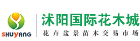 沭陽國際花木城_專業綠化苗木花卉盆景批發市場【官網】