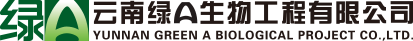 首頁-
螺旋藻產業從這里起步！云南綠A-官方網站 | 云南綠A生物工程有限公司|云南省螺旋藻公司|云南省螺旋藻批發公司