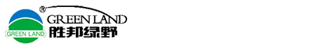 山東勝邦綠野化學(xué)有限公司