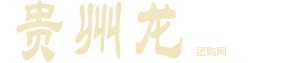 貴州龍-貴州龍粽子/貴州龍?jiān)嘛?年貨-貴州龍膳香坊食品有限公司