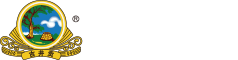 古井集團(tuán)