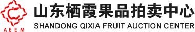 山東棲霞果品拍賣中心有限公司_棲霞果品拍賣,棲霞蘋果,蘋果拍賣,棲霞果品中心