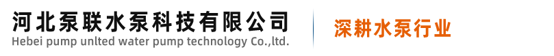 渣漿泵_渣漿泵生產廠家_磁力泵-河北泵聯水泵科技有限公司
