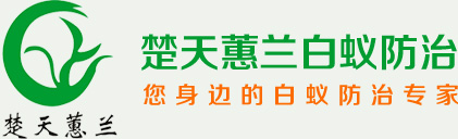 武漢白蟻防治|光谷白蟻防治中心|武昌白蟻防治所|湖北楚天蕙蘭白蟻防治公司