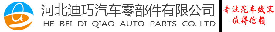 河北迪巧汽車零部件有限公司