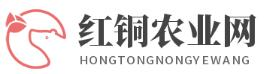 中國農(nóng)業(yè)部（伴組）