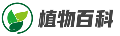 口琴學習教程,吉它學習教程,吉他曲譜-瀚誠學習網(wǎng)