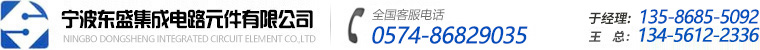 寧波東盛集成電路元件有限公司