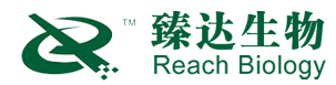 河南臻達生物科技有限公司|母豬預混料|教槽料|添加劑母豬預混料|教槽料|添加劑
