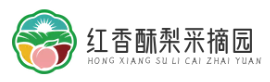 紅香酥梨采摘園 - 采摘園|采摘方法|采摘基地|采摘時間|密云旅游