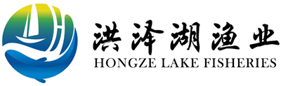 洪澤湖漁業-
        洪澤湖漁業