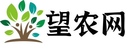 望農網