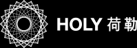 網站設計公司-高端網站建設-UI設計公司-HOLY荷勒設計